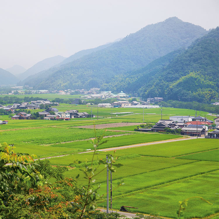 サザンヘルム・パートナーズ株式会社 丹波篠山プロジェクト