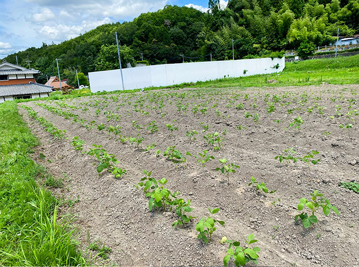 サザンヘルム・パートナーズ株式会社 丹波篠山プロジェクト