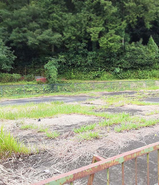 サザンヘルム・パートナーズ株式会社 販売実績物件