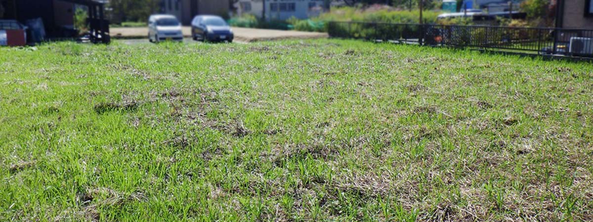 サザンヘルム・パートナーズ株式会社 自社保有物件